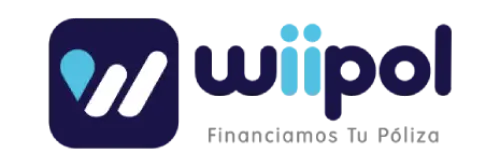 logo wiipol